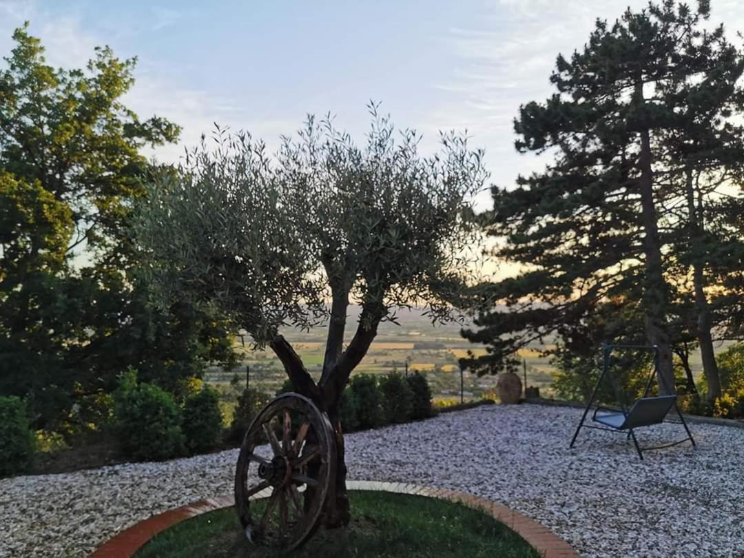 Casina Dei Sogni Villa Arezzo Eksteriør bilde